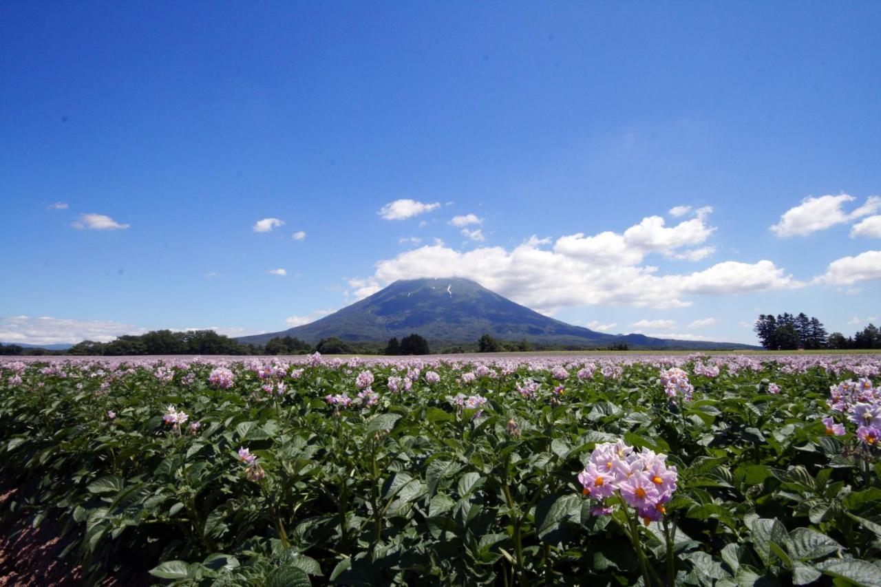 Niseko Northern Resort, An'Nupuri Экстерьер фото